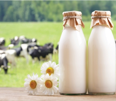 Global animal production to grow 14% in the next decade