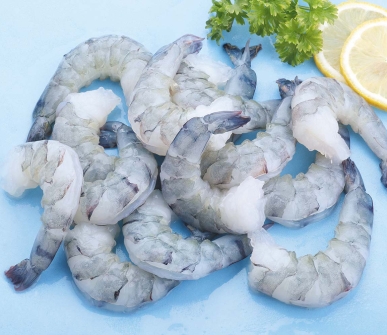 Indian shrimp industry sails in troubled waters after Trump tariffs