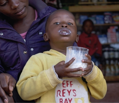 Brucellosis misdiagnosis is costing Kenya—new policy aims to change that