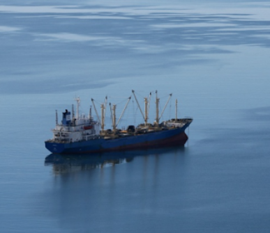 Deal to curb billions in overfishing subsidies comes into force at WTO