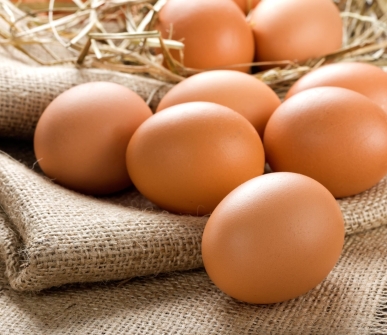 World Egg Organisation: Tackling avian influenza together