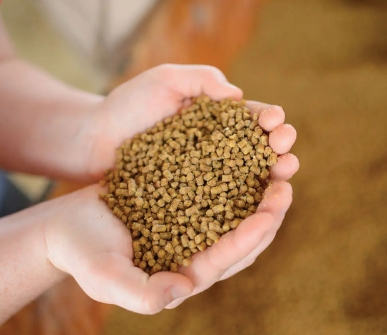 Feed efficiency drives methionine market toward USD 8.43B