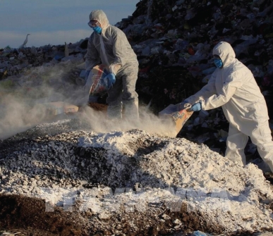 Germany Reports Bird Flu Outbreaks Doubled Within a Week
