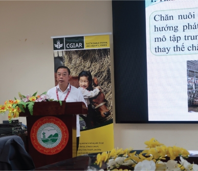 Sustainable Animal and Aquatic Foods (SAAF) program in Vietnam aims for unified pathway for livestock transformation in Son La and Thai Nguyen