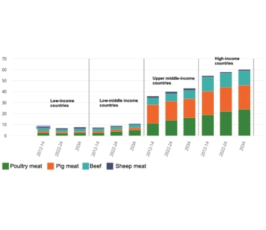 What to expect in the global meat market in the next decade