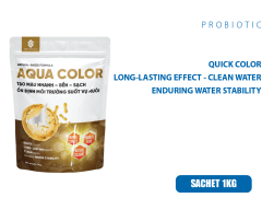 AQUA COLOR