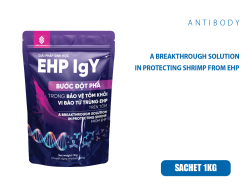 EHP IgY