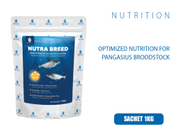 NUTRA BREED