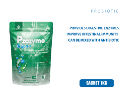 PZOZYME