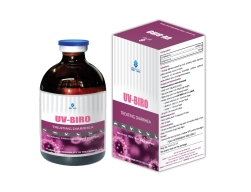 UV-BIRO