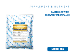 VITA-AMINO