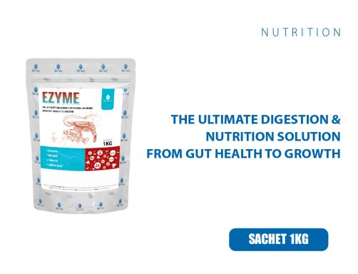EZYME