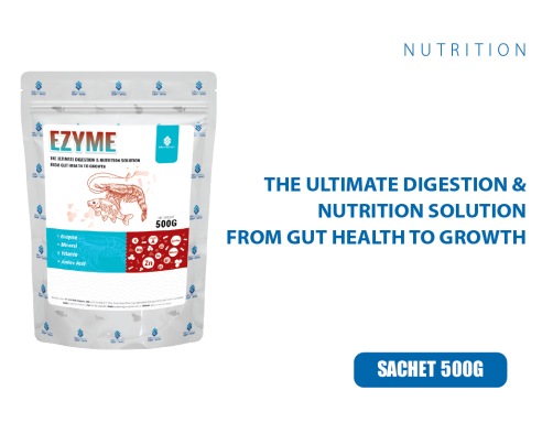 EZYME