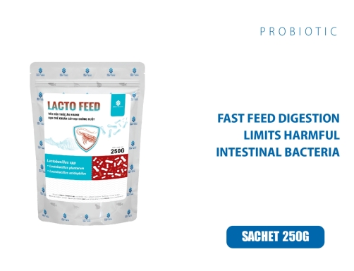 LACTO FEED