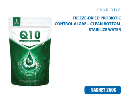 Q10
