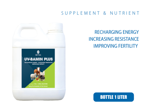 UV-BAMIN PLUS