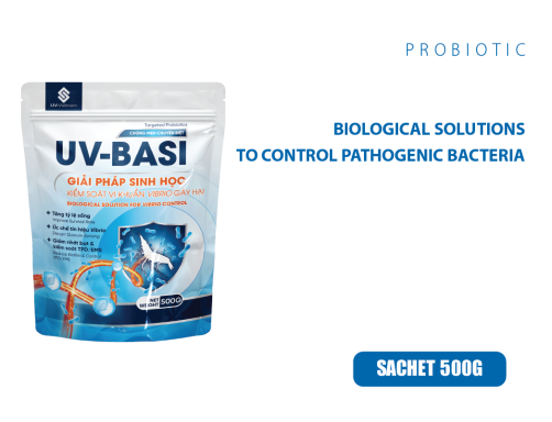 UV-BASI