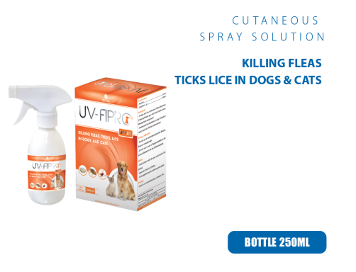 UV-FIRO SPRAY