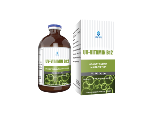 UV-VITAMIN B12